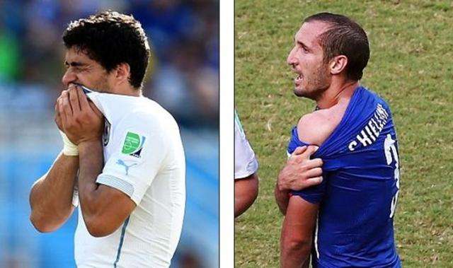 不仅能够看 不仅能够看